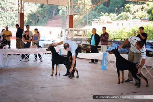 Clique sobre a foto para fechar